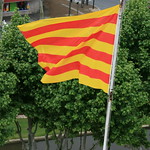 Grants for doctoral theses in Catalan