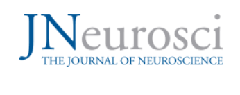 New Publication!  Journal of Neuroscience, Feb. 2024.