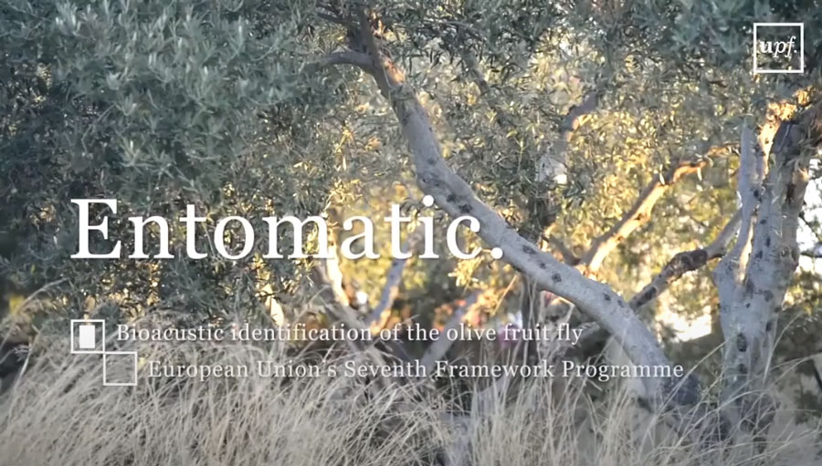 Entomatic Research Project
