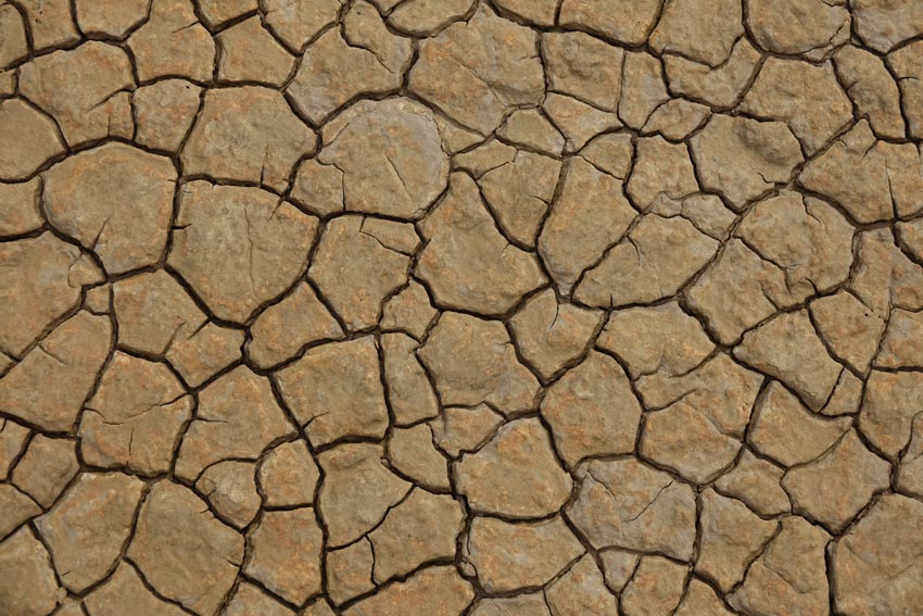 “Sense aigua, no hi ha vida? Mitigació dels riscos climàtics en un món cada cop més àrid”