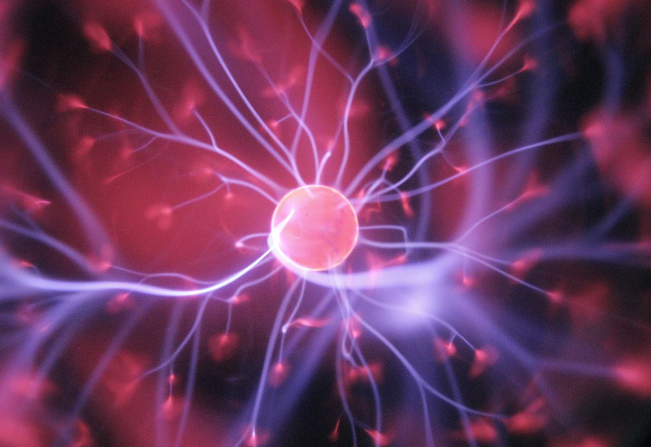 Un estudi pioner sobre com la turbulència facilita el processament d'informació al cervell permetria crear biomarcadors de malalties neurològiques