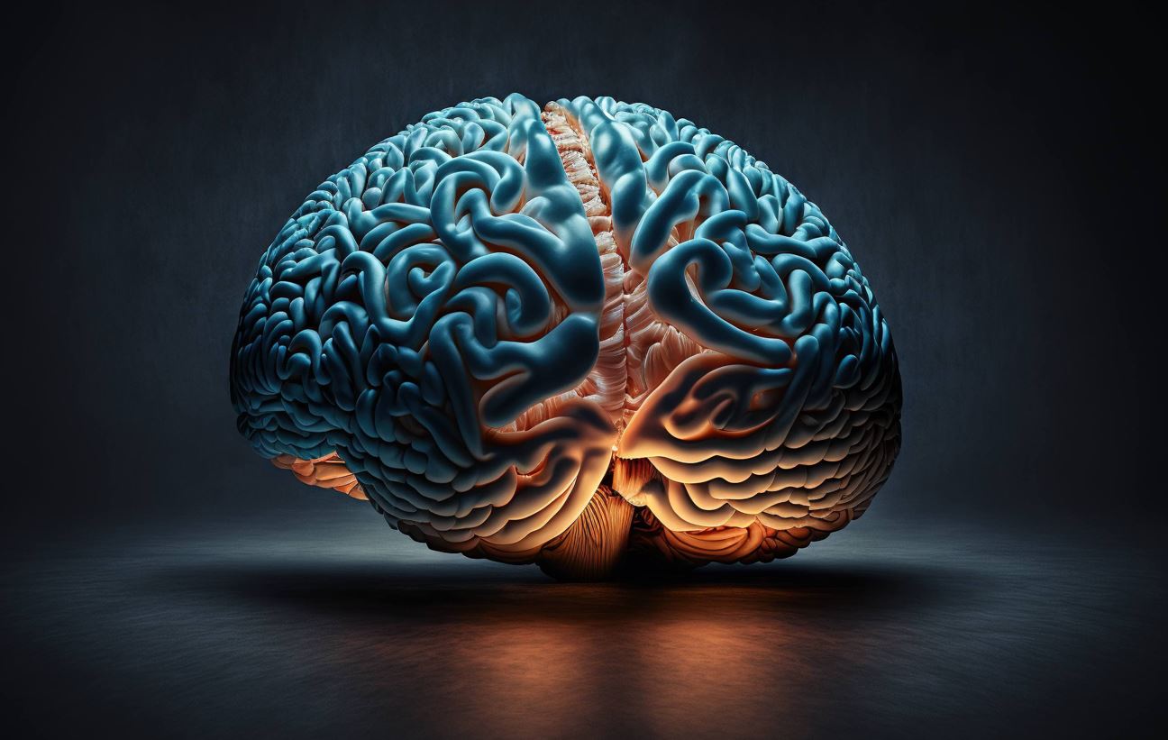 Científicos de alto nivel aúnan esfuerzos para estudiar los aspectos más desconocidos del cerebro humano en un consorcio con la participación del CBC de la UPF