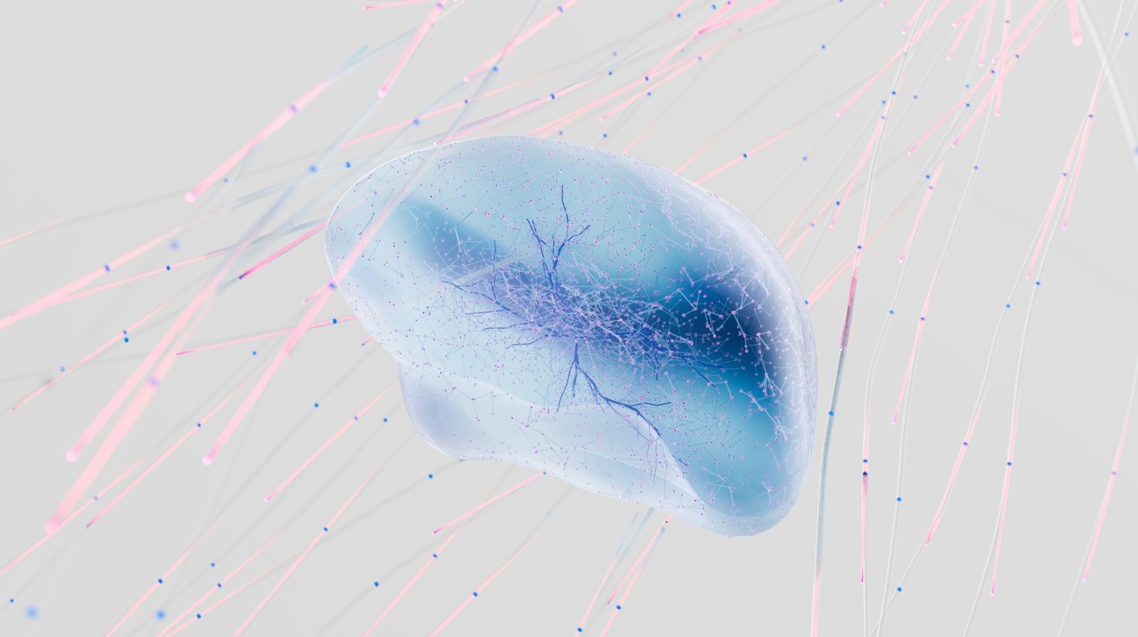 El análisis de redes biológicas permite entender la complejidad de la esclerosis múltiple