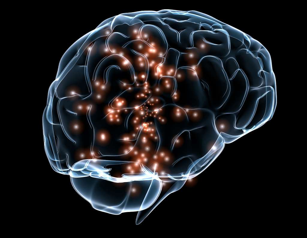 Un nou model per entendre el cervell i la interacció amb l'entorn obre la porta a diagnòstics i tractaments més precisos