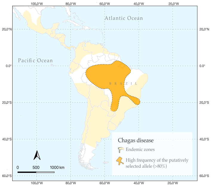 Las poblaciones del Amazonas resisten la infección de Chagas gracias a sus adaptaciones genéticas