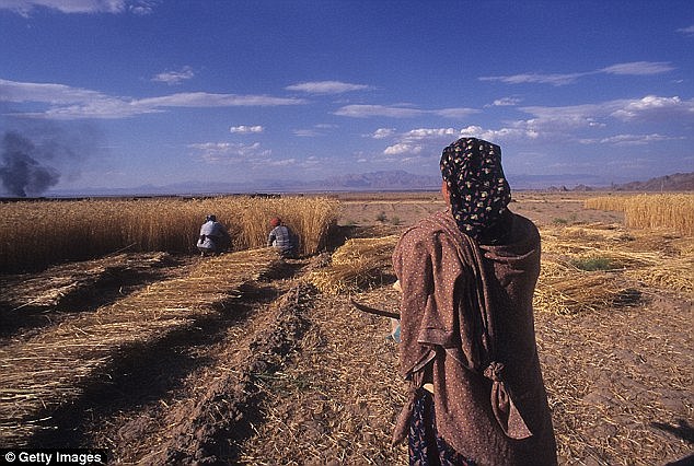 Primers agricultors del món - Getty Images