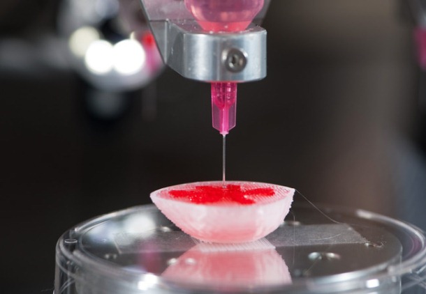 Ronyó bioimprès amb impressora 3D
