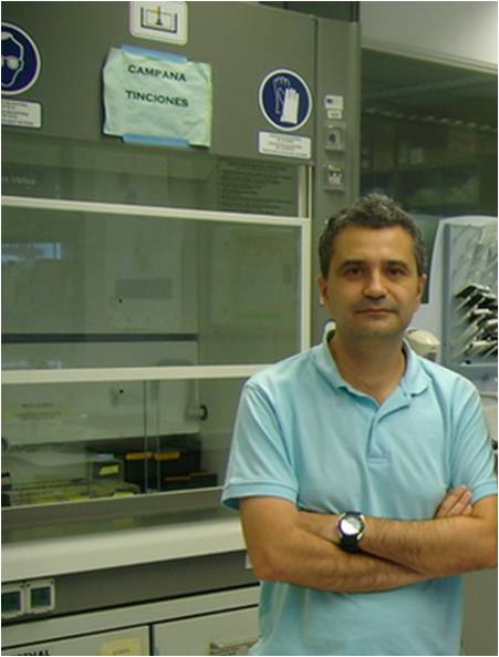 Fernando Berrendero UPF Fernando Berrendero