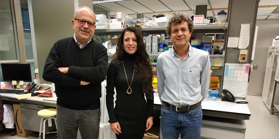 From left to right: David Andreu, Maria Gallo and Rafael Maldonado, main participants in the project at UPF. Imatge inicial - From left to right: David Andreu, Maria Gallo and Rafael Maldonado, main participants in the project at UPF.