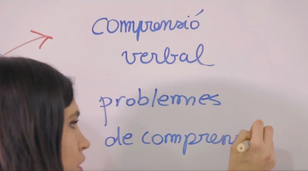 Imatge inicial - 