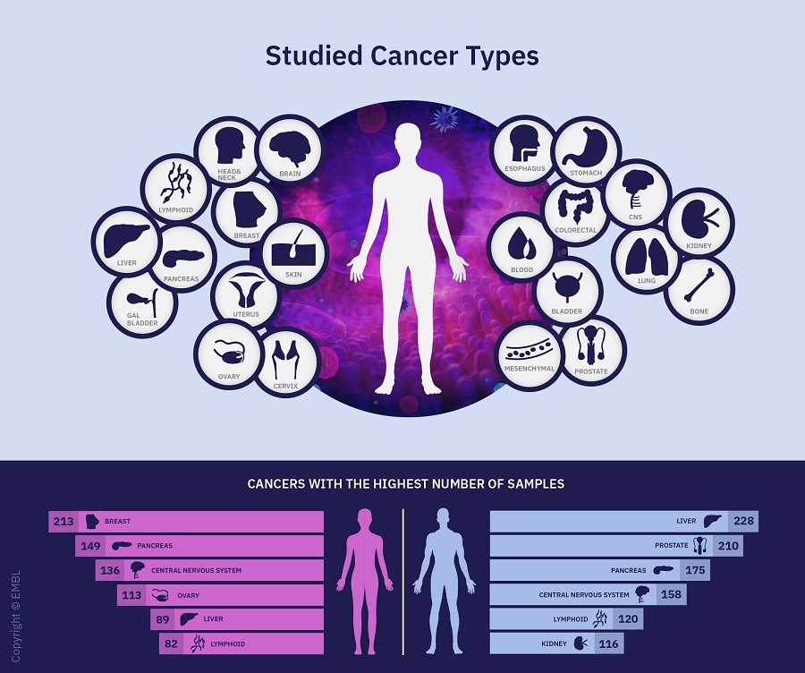 Source: European Molecular Biology Laboratori (EMBL). Imatge inicial - Source: European Molecular Biology Laboratori (EMBL).