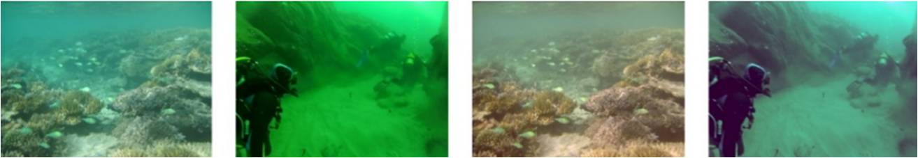 Proof of concept for underwater images. The two images to the left: inputs. The two images to the right: preliminary results. Images: Javier Vázquez Corral (IP4EC-UPF). Imatge inicial - Proof of concept for underwater images. The two images to the left: inputs. The two images to the right: preliminary results. Images: Javier Vázquez Corral (IP4EC-UPF).