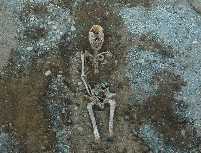Tolochenaz - La Caroline (canton of Vaud, Switzerland). Late Bronze Age burial. Photograph taken during excavation of tomb 1061. @Archeodunum SA Imatge inicial - Tolochenaz - La Caroline (canton of Vaud, Switzerland). Late Bronze Age burial. Photograph taken during excavation of tomb 1061. @Archeodunum SA
