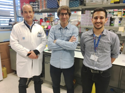 De izquierda a derecha Joan Albanell, Toni Celià-Terrassa y Iván Pérez-Núñez.