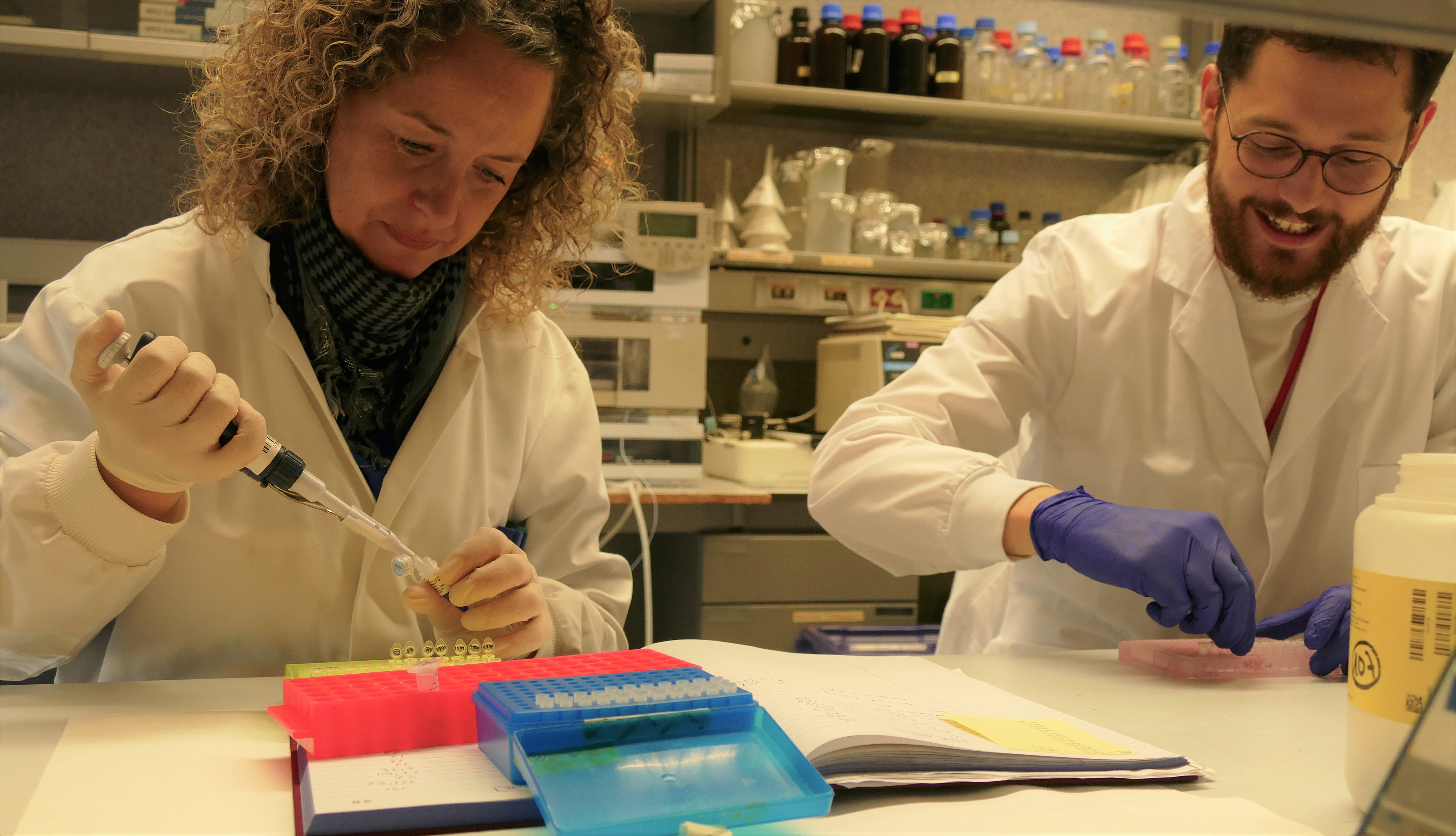 Investigadores del laboratorio de Andrés Ozaíta en la UPF. Fuente: UPF Imatge inicial - Investigadores del laboratorio de Andrés Ozaíta en la UPF. Fuente: UPF