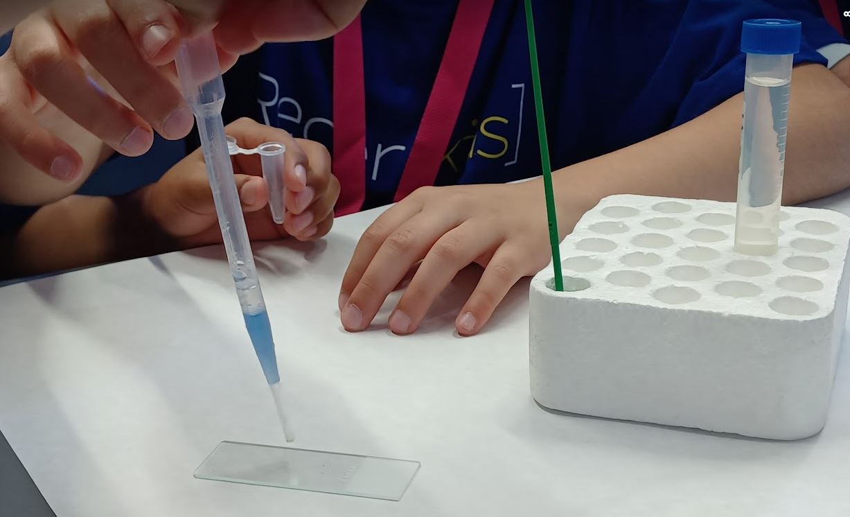Detall de les mans d'alumnes preparant la mostra que miraran pel microscopi. Font: UPF. Imatge inicial - Detall de les mans d'alumnes preparant la mostra que miraran pel microscopi. Font: UPF.