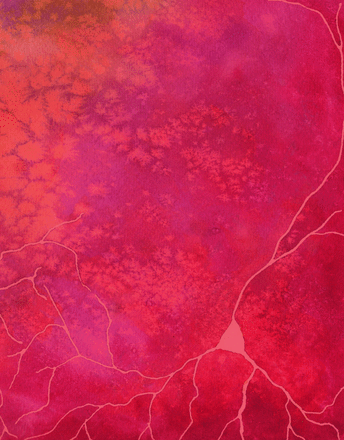 Portada de revista Journal of Neuroscience - Biuse Guivernau