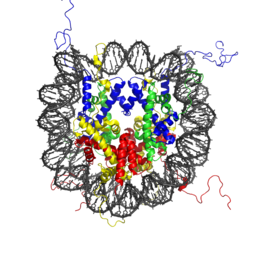Nucleosome 1KX5 colour coded