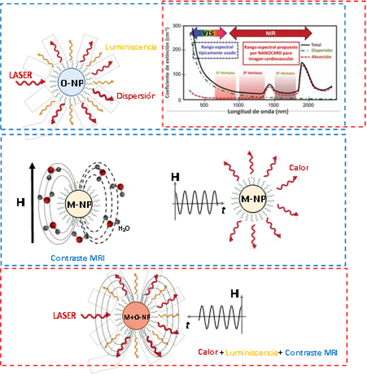 Nanopartícules NANOCARD
