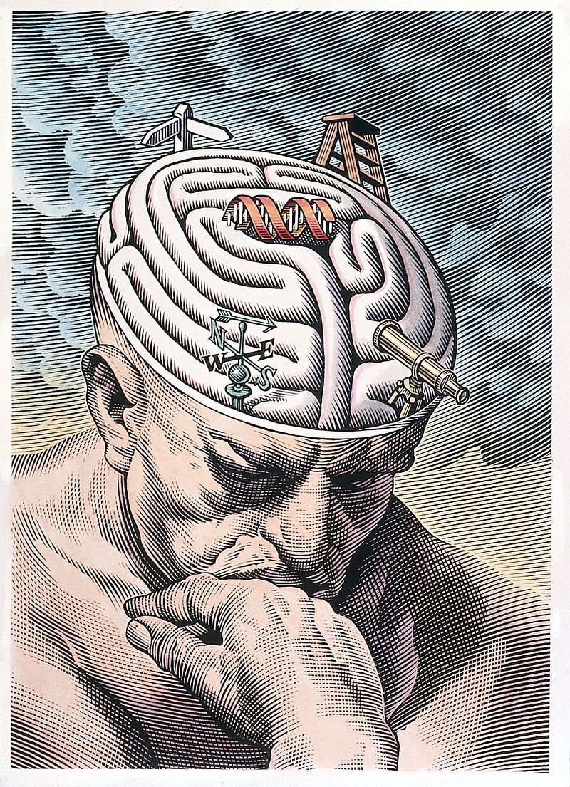 By http://wellcomeimages.org/indexplus/obf_images/9d/da/206bfb6243071ac369d96397b324.jpgGallery: http://wellcomeimages.org/indexplus/image/L0027293.html, CC BY 4.0, https://commons.wikimedia.org/w/index.php?curid=36015921