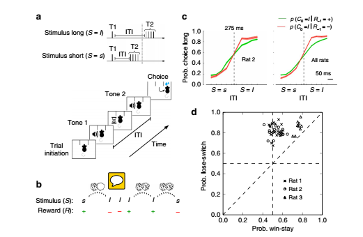 Figure 1. Rats use the trial-by-trial-dependent contingencies of the task to improve their performance