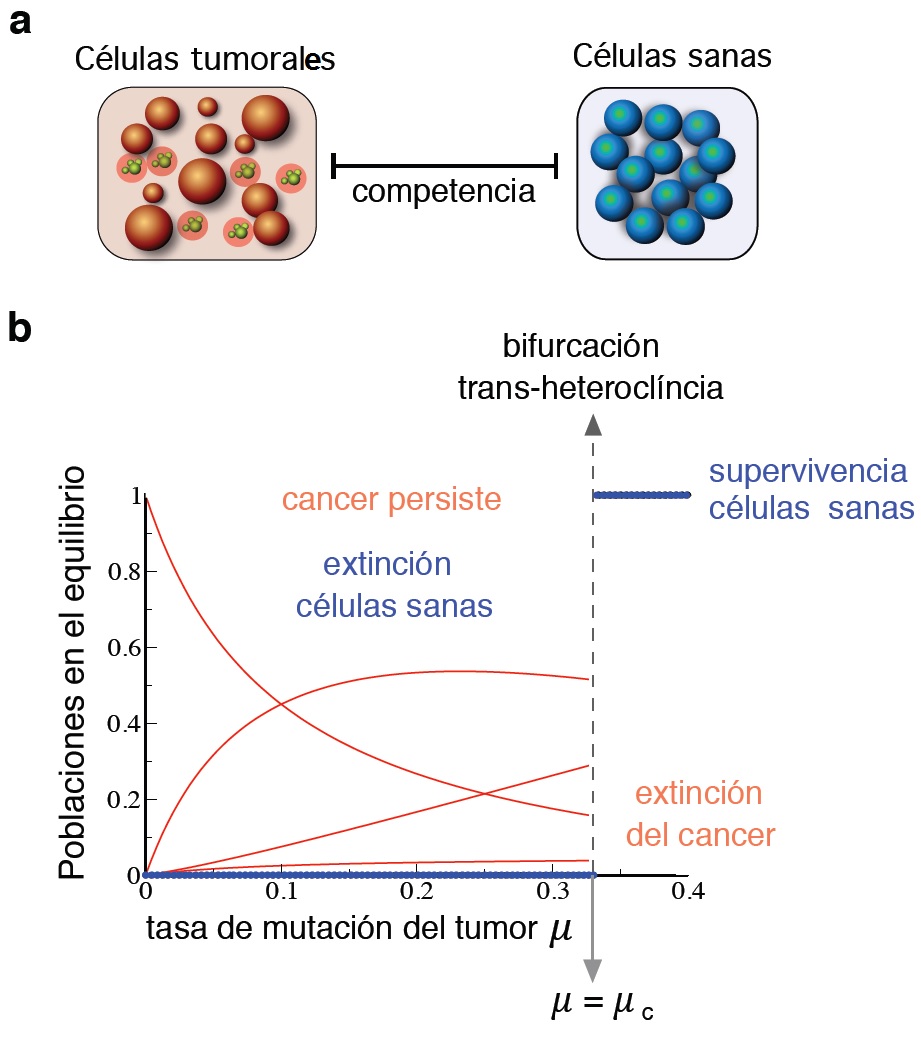 Figura cedida pels autors -UPF