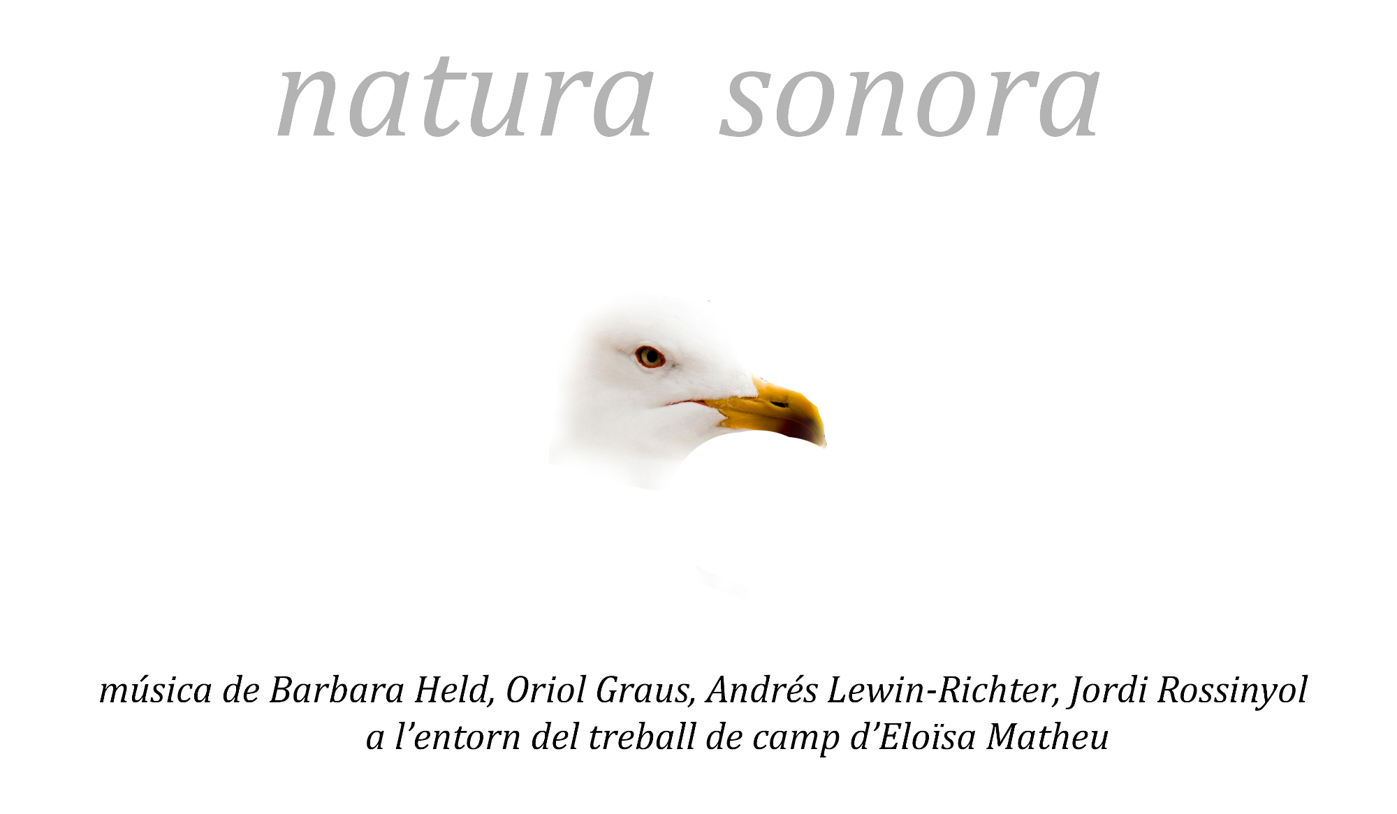 Imatge inicial -