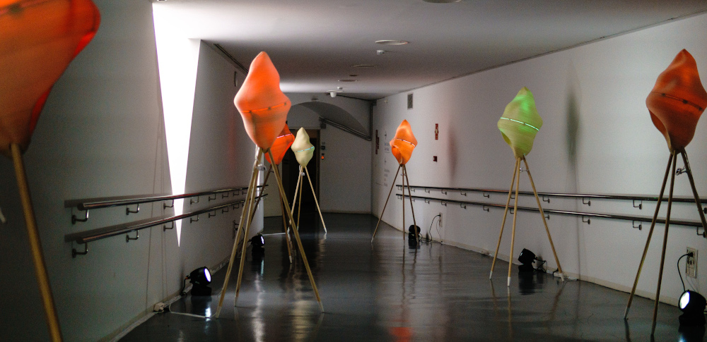 Imatge inicial -