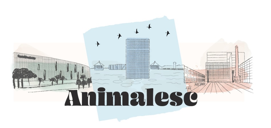 Imatge inicial -