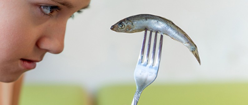 Imatge de recurs (Font: web de Nutrimedia). Imatge inicial - Imatge de recurs (Font: web de Nutrimedia).