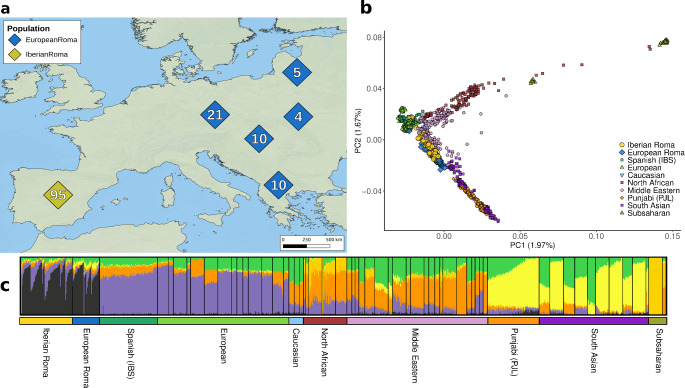 Estructura genètica de la població dels grups gitanos europeus (Imatge: Human Genetics) Imatge inicial - Estructura genètica de la població dels grups gitanos europeus (Imatge: Human Genetics)