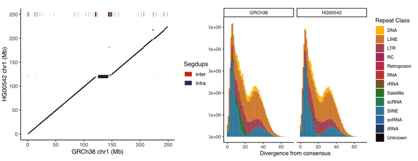 Flow sorting enrichment and nanopore sequencing of chromosome 1 from a Chinese individual. Frontiers in Genetics, 10, 1315.
