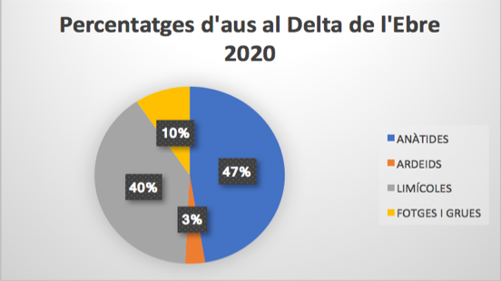 Percentatges d’aus al Delta de l’Ebre 2020