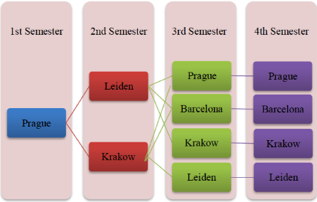 Programme structure