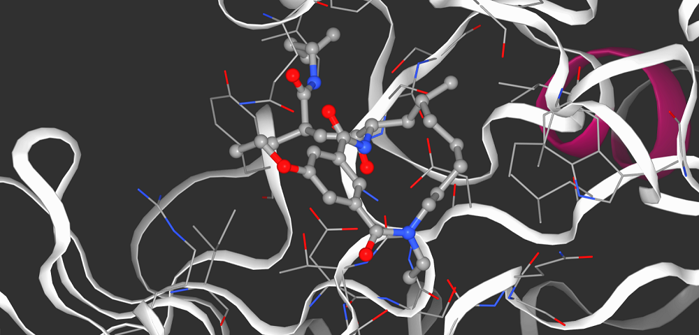 Imagen del ligando y la proteína BACE Imatge inicial - Imagen del ligando y la proteína BACE