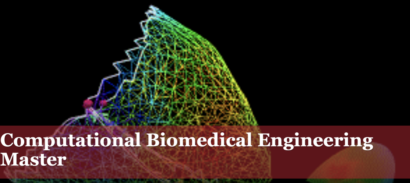 Check out our Master in Computational Biomedical Engineering