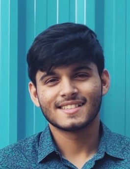 Ravish Rizvi 