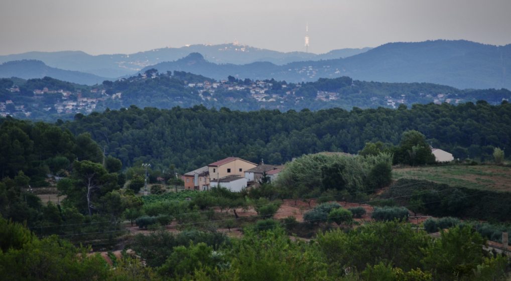 Imatge inicial - Serra de Collserola. Photo: Maria Rosa Ferre