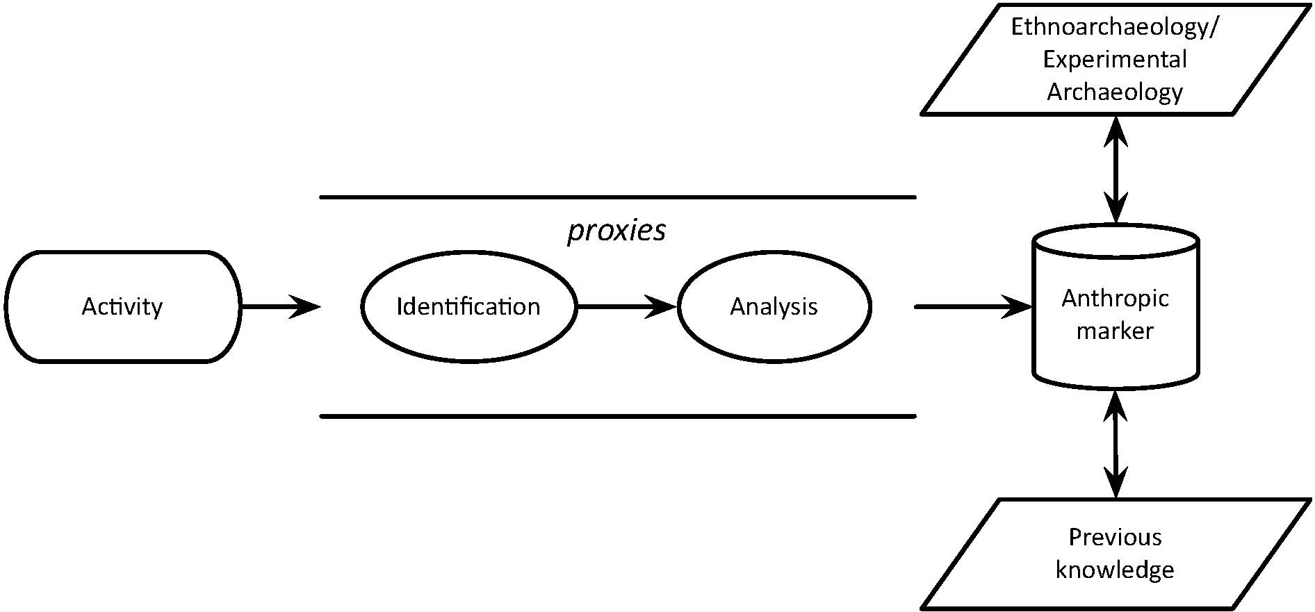 AM_schema