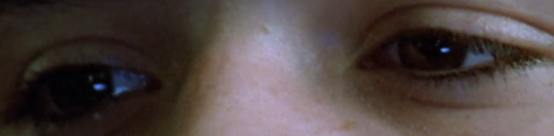 Imatge inicial - 
