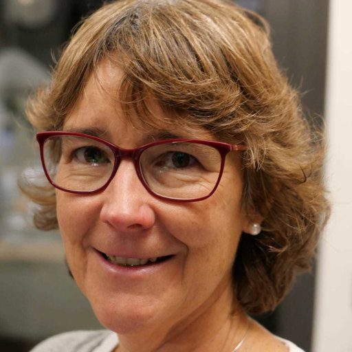Elvira Riera Gil