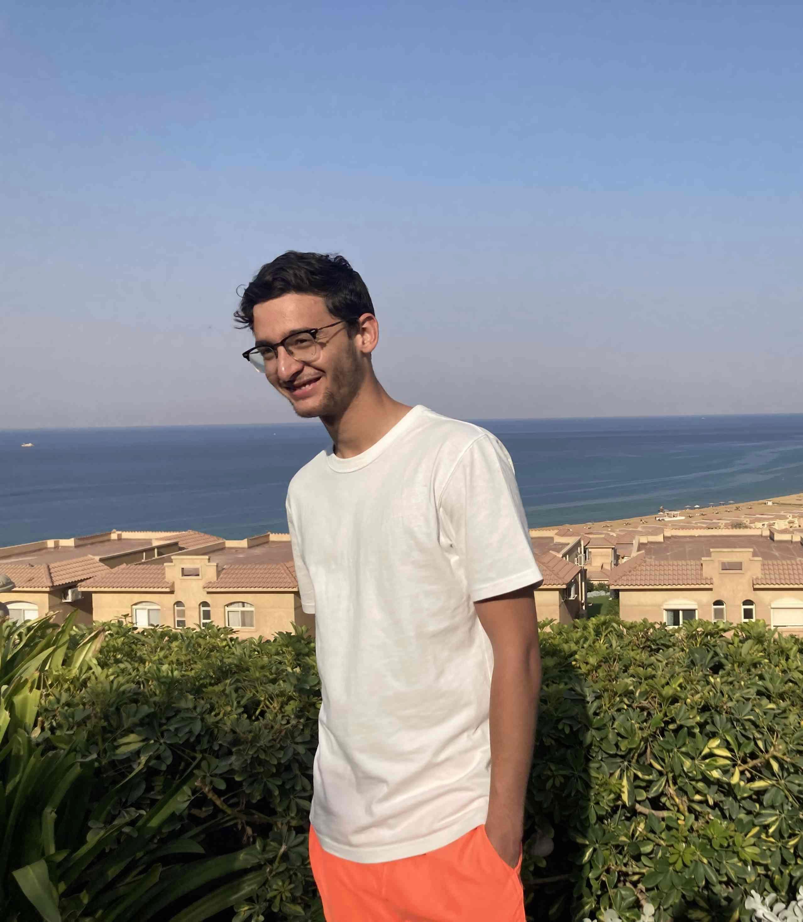 Mahmoud Mansour 