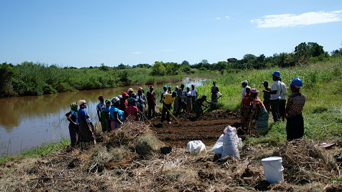 Imatge dels participants en la formació agrícola