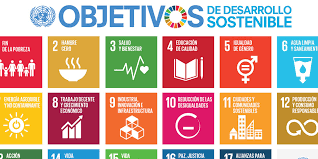 Workshop of Reflection on Sustainable Development Goals (SDGs) and Human Rights (28.04.22)