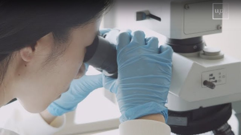 Nanotarg - encapsulant la quimioteràpia per lluitar contra el càncer de pàncrees