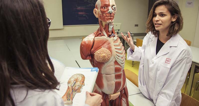grau en Medicina