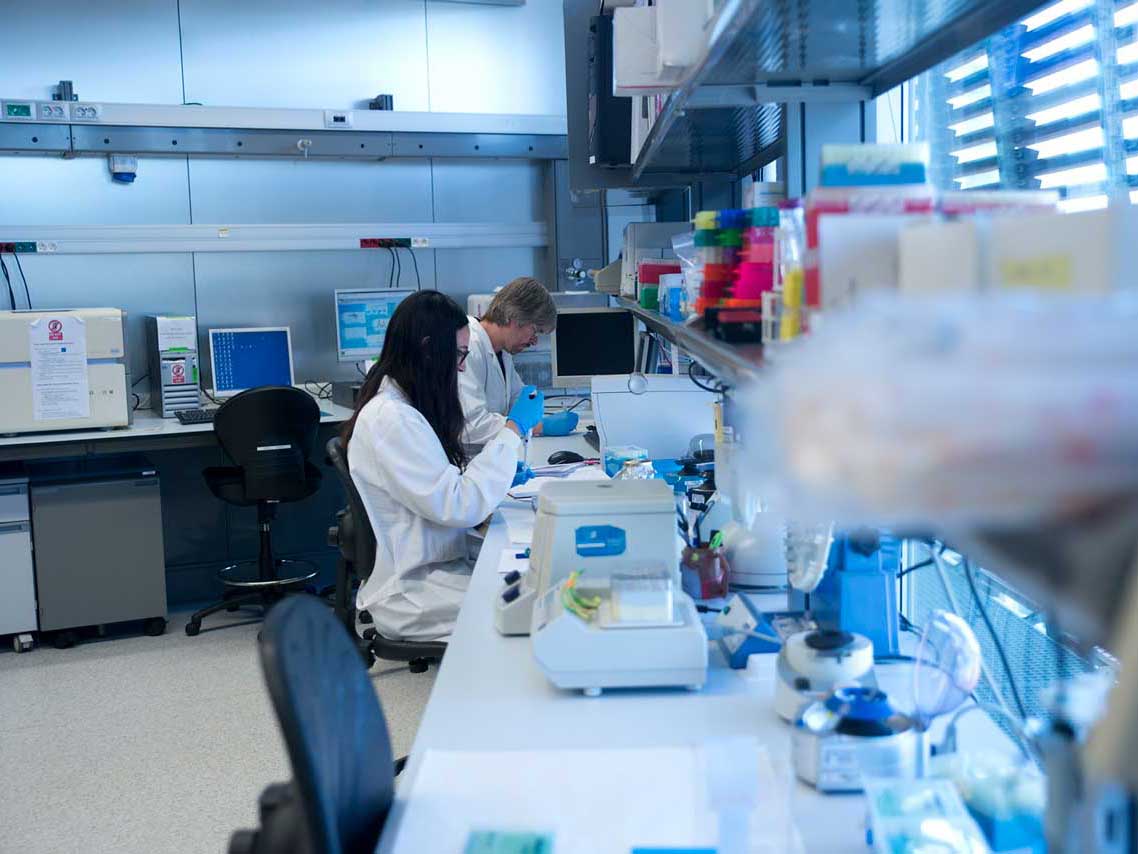 Instal·lacions del primer laboratori de Genòmica de la UPF situat a la quarta planta del PRBB. Font: Arxiu UPF. 
