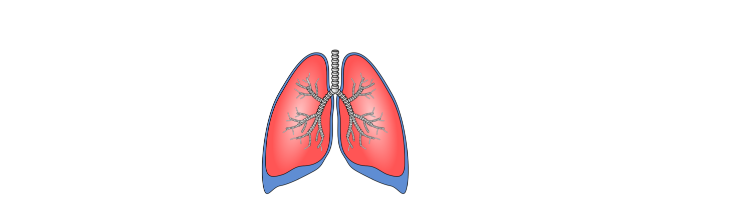 Modelado multiescala mecánico y biológico de los mecanismos de progresión avanzada de la enfermedad pulmonar obstructiva crónica basado en evidencias clínicas