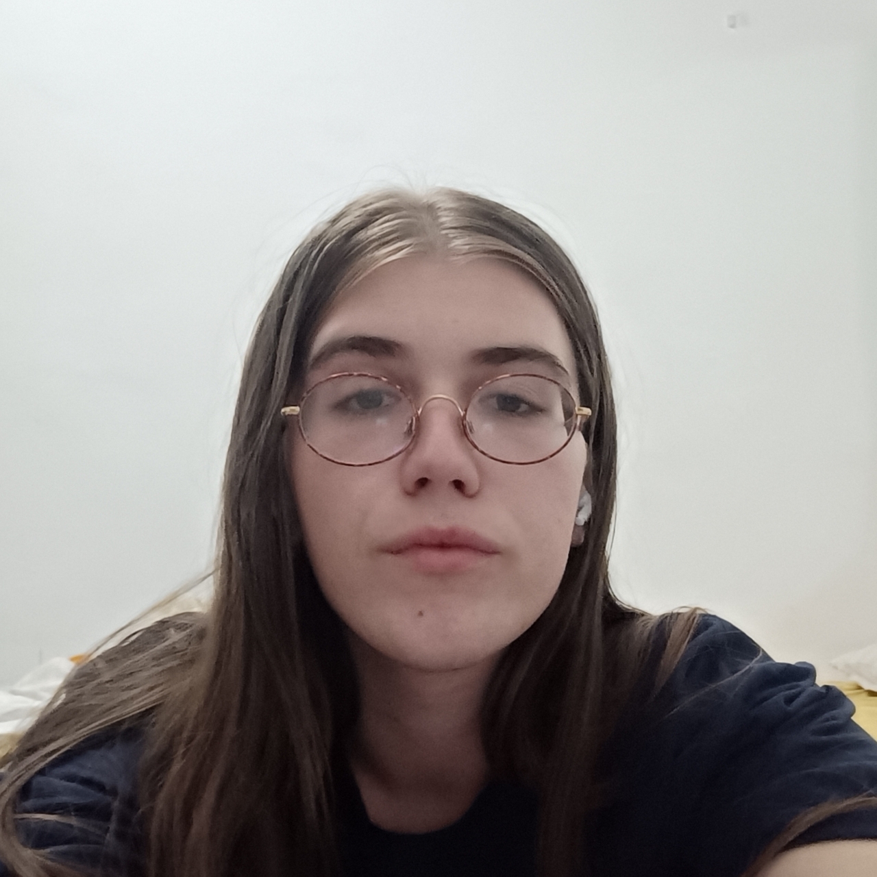 DARÍO (CritiCC Predoc Mentor) DOÑA-FALCÓN 