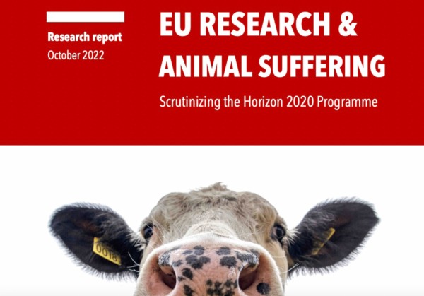 UPF-CAE Report: “EU Research & Animal Suffering. Scrutinizing the Horizon 2020 Programme”